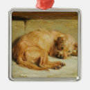 Search for english cocker spaniel ornaments Canine