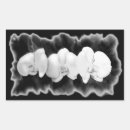 Recherche de orchidée noire autocollants Orchidées blanches
