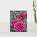 Search for photo get well cards Floral