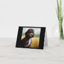 Search for portuguese water dog cards Puppy