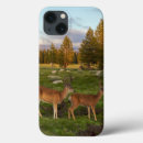 Search for two animals ipad cases Meadow