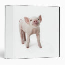 Search for looking up binders Baby animals