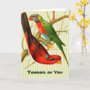 Search for red parrot cards Birds