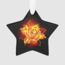 Search for fire star ornaments Phoenix