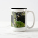 Recherche de cache tasses Faune