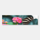 Search for femininity bumper stickers Pink