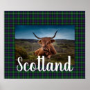 Search for highlanders posters Tartan