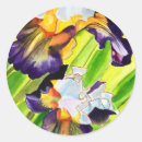 Search for iris flower stickers Watercolor