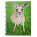 Recherche de kangourous carnets Animaux