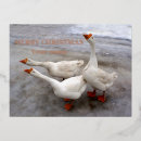 Search for rose gold christmas cards Snow