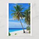 Recherche de coco cartes postales Sable