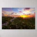 Recherche de vert bleu orange art Plage
