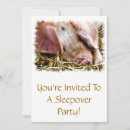 Search for pig invitations Hog