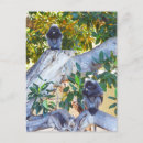 Search for small monkey postcards Primate