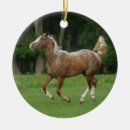 Search for appaloosa horse ornaments Running