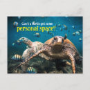 Search for funny swimming birthday cards Animal