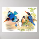 Recherche de oiseaux posters Étang