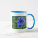 Search for blue cornflower mugs Flowers