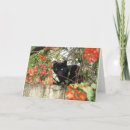 Search for animal totem cards Nature