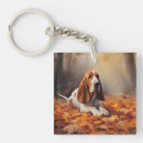 Search for basset hound keychains Pet