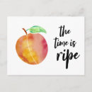 Search for ripe Peach