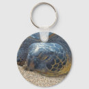 Search for hawaiian sea turtle keychains Honu