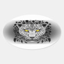 Search for snow leopard crafts party Wild