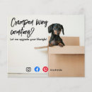 Recherche de drôle prospectus Chien