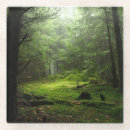 Recherche de forêt dessous de verres Nature