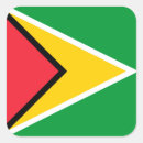 Search for guyana stickers South america