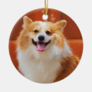 Search for fluffy ornaments Puppy