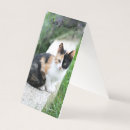 Search for funny canadian cards Pets