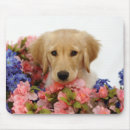 Recherche de golden retriever gifts Bleu