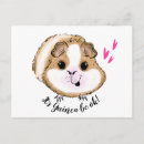 Search for guinea pig quotes Funny quote