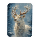 Recherche de portraits magnets Toute personne