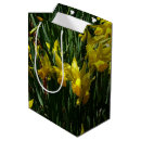 Search for daffodil gift bags Nature