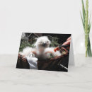 Search for eagle owl cards Birds