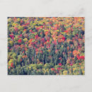 Search for autumn forest postcards Canada