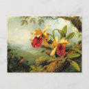 Recherche de peintures colibri cartes postales Orchidée