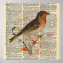 Recherche de cage oiseaux posters Illustration
