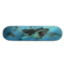 Search for shark attack skateboards Sharks