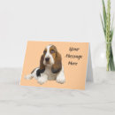 Recherche de basset hound cards Chiot
