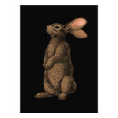 Search for brown hare posters Cute