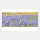 Search for texas bluebonnets stickers Field