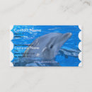 Recherche de dauphins cartes visite Nautique