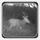Search for stags stickers Animals