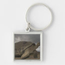 Search for tortoises keychains Wildlife