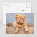 Search for bordeaux postcards Animal