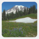 Search for mount snow stickers Landscape