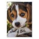 Search for happy birthday beagle Puppies
